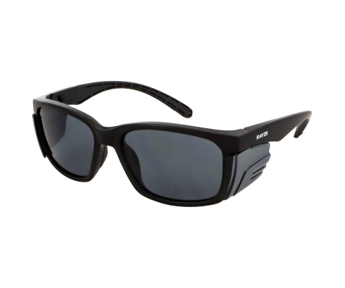 E310P - Polarised